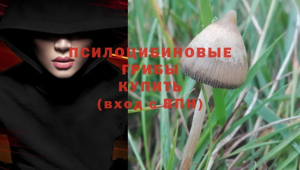 ГАЛЛЮЦИНОГЕННЫЕ ГРИБЫ Кинешма