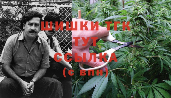jwh Карпинск