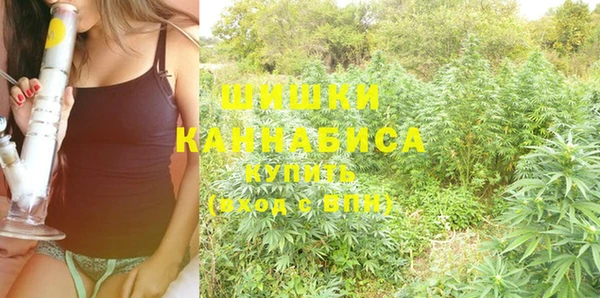 jwh Карпинск